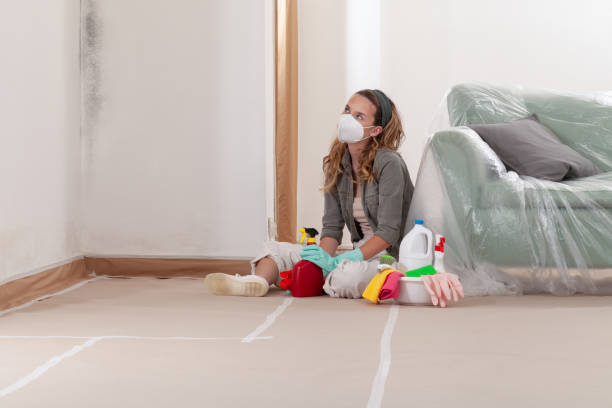 Reliable Mold Cleanup contractor in McSherrystown, PA by WQB Mold Removal