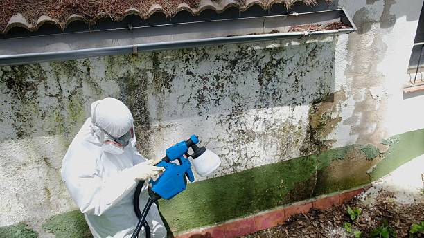 Top rated local Mold Cleanup specialists in McSherrystown, PA
